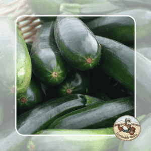 CALABACÍN