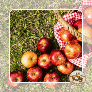 MANZANA
